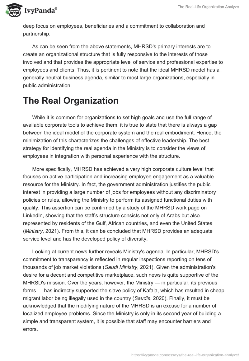 The Real-Life Organization Analyze. Page 2