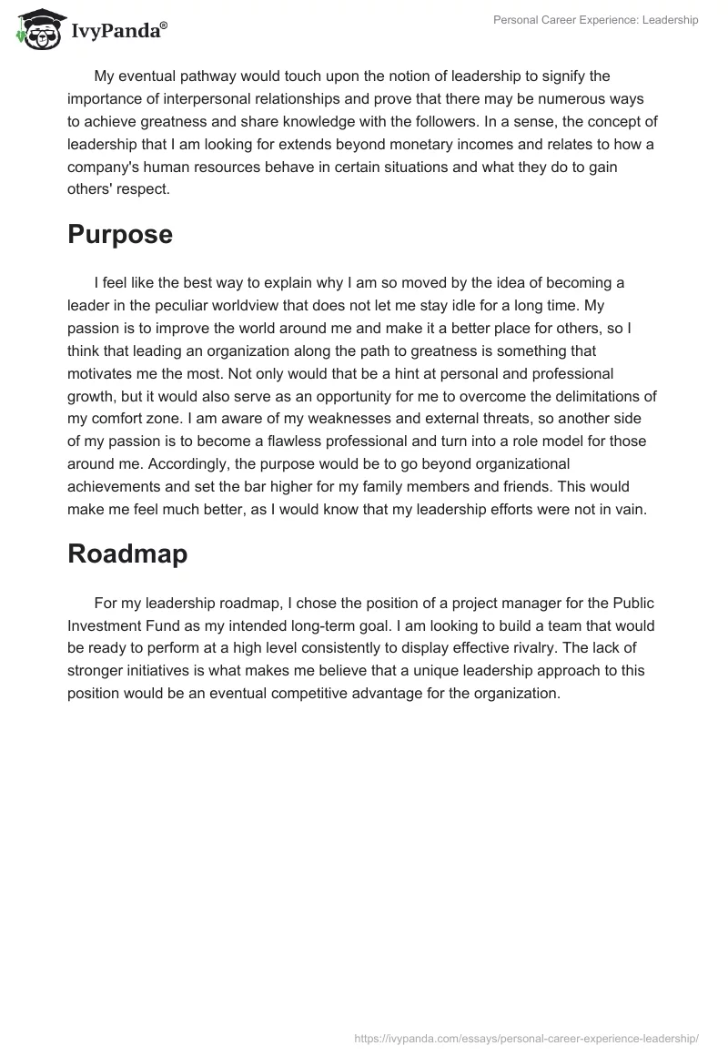 Personal Career Experience: Leadership. Page 3