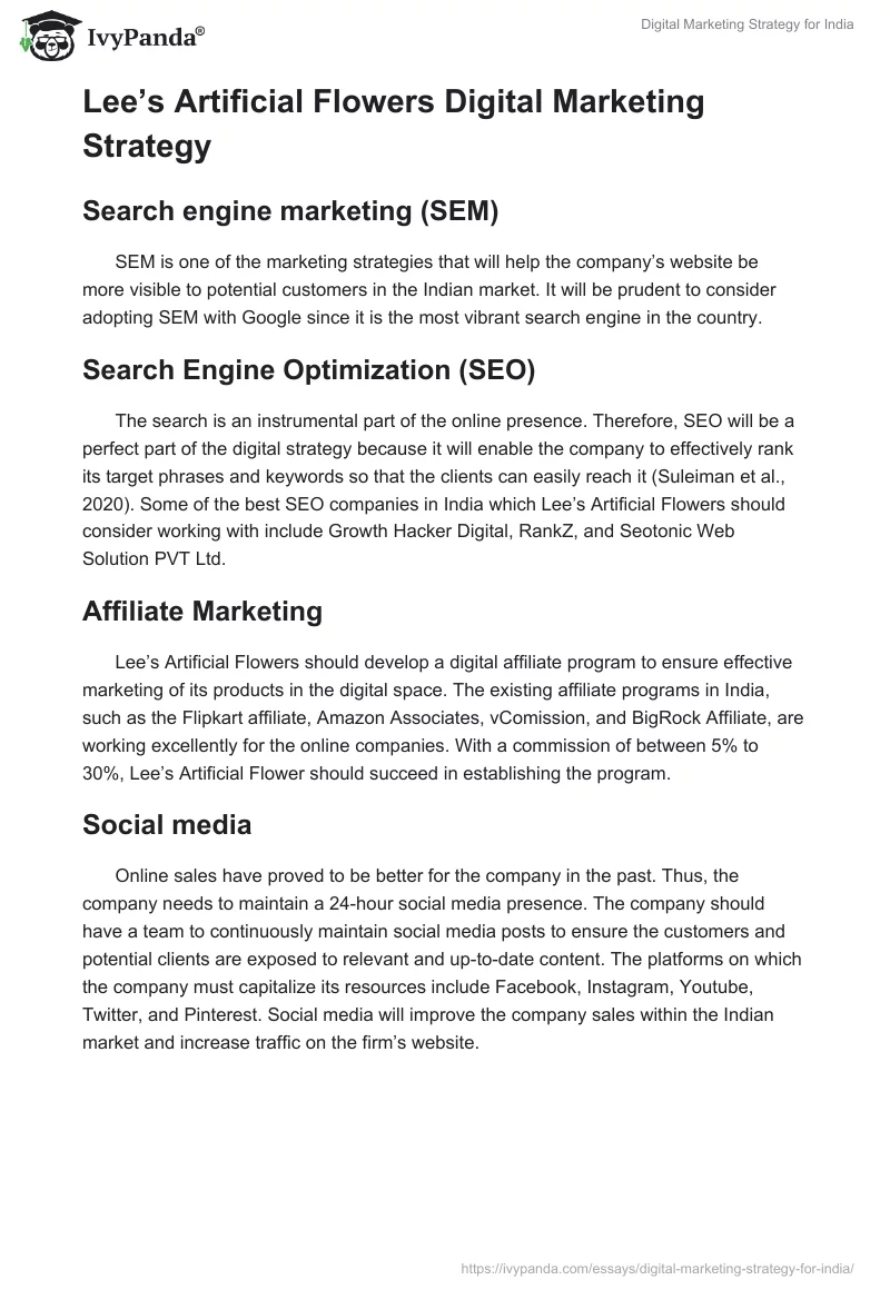 Digital Marketing Strategy for India. Page 3