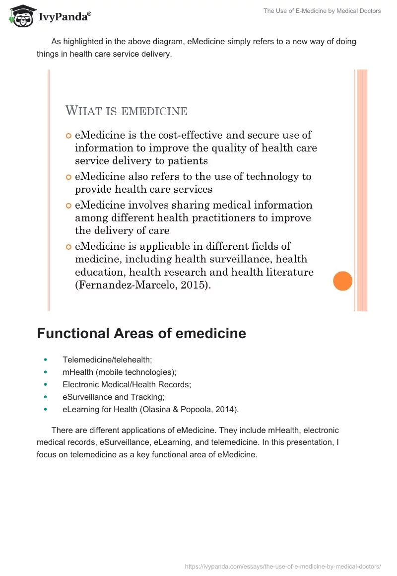 The Use of E-Medicine by Medical Doctors. Page 3