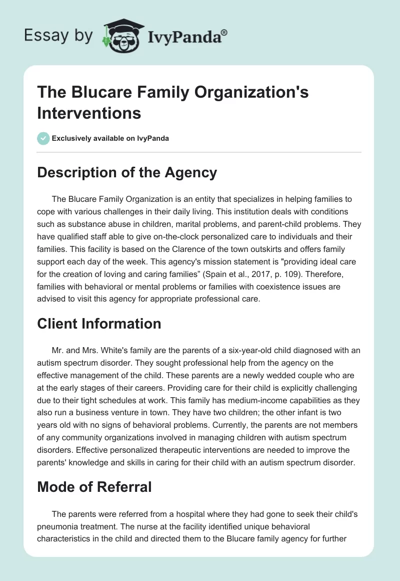 The Blucare Family Organization's Interventions. Page 1