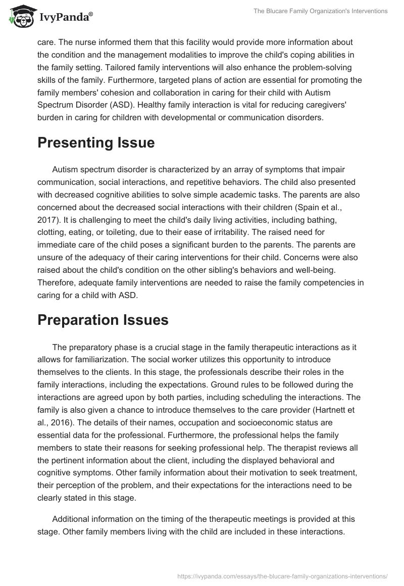 The Blucare Family Organization's Interventions. Page 2