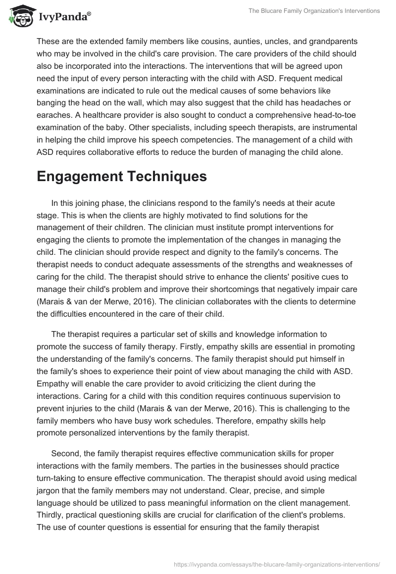 The Blucare Family Organization's Interventions. Page 3