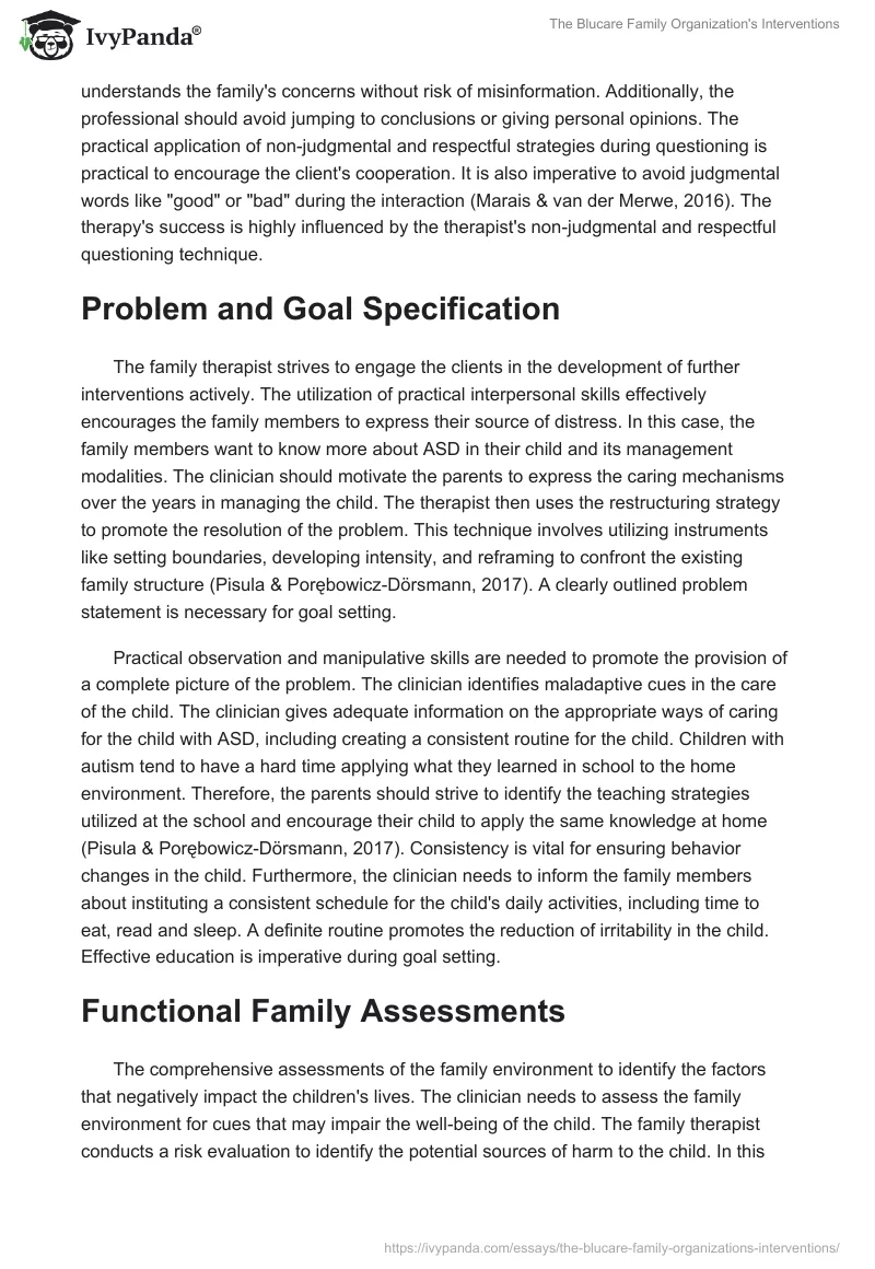 The Blucare Family Organization's Interventions. Page 4