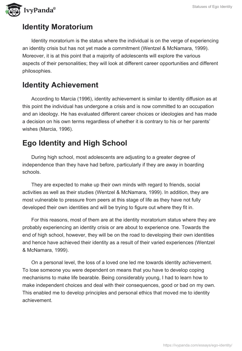 essay about ego identity