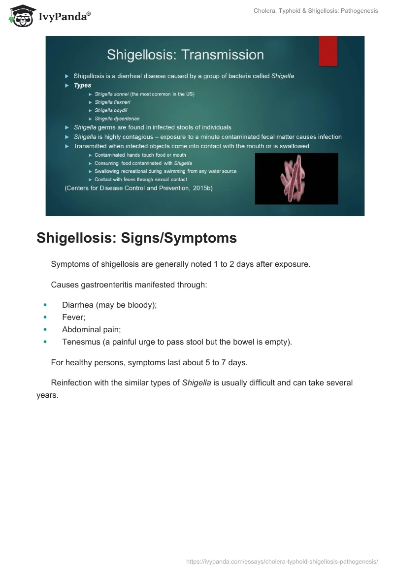 Cholera, Typhoid & Shigellosis: Pathogenesis. Page 2
