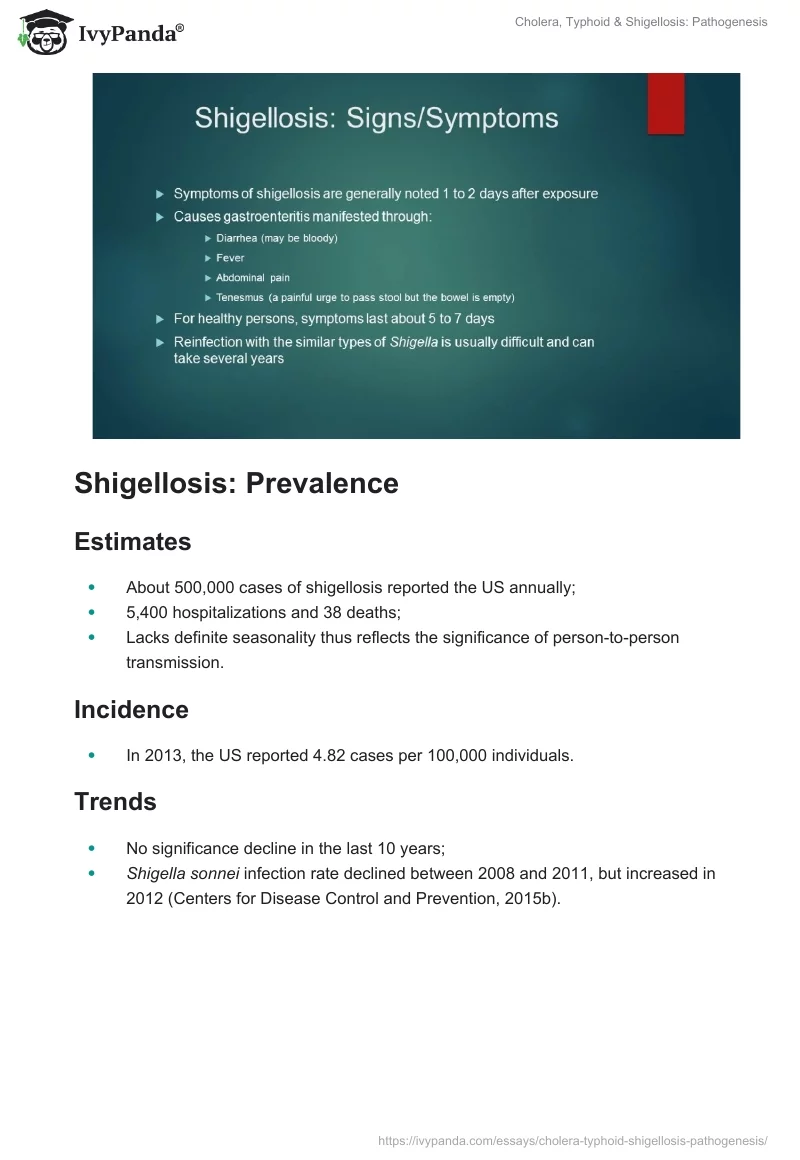 Cholera, Typhoid & Shigellosis: Pathogenesis. Page 3