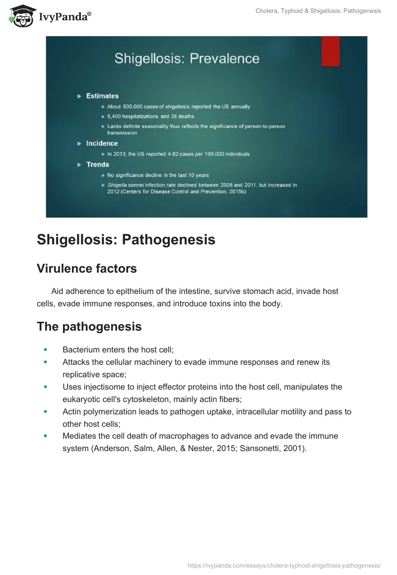 Cholera, Typhoid & Shigellosis: Pathogenesis. Page 4
