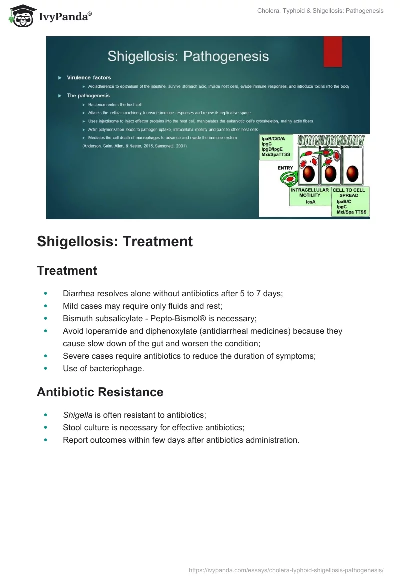Cholera, Typhoid & Shigellosis: Pathogenesis. Page 5