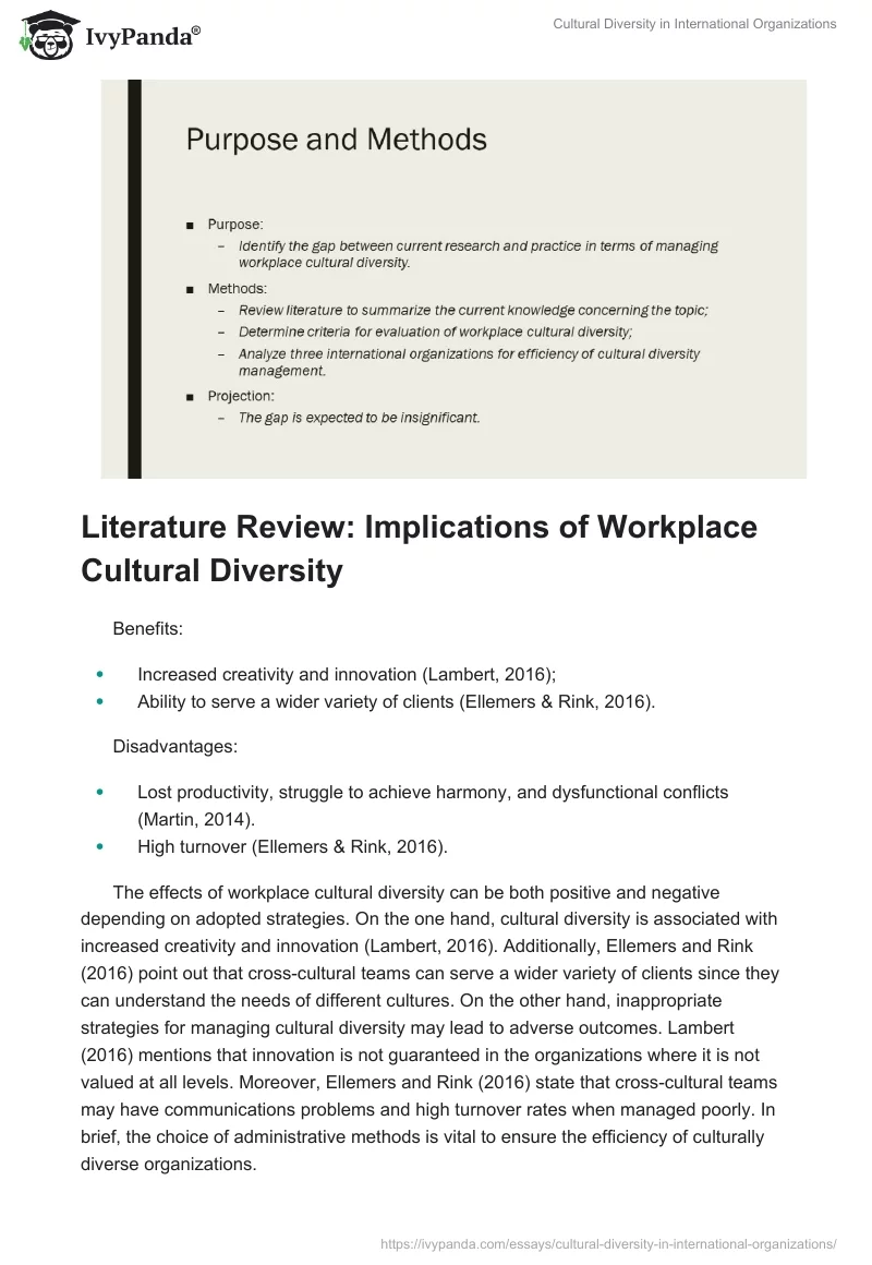 Cultural Diversity in International Organizations. Page 3