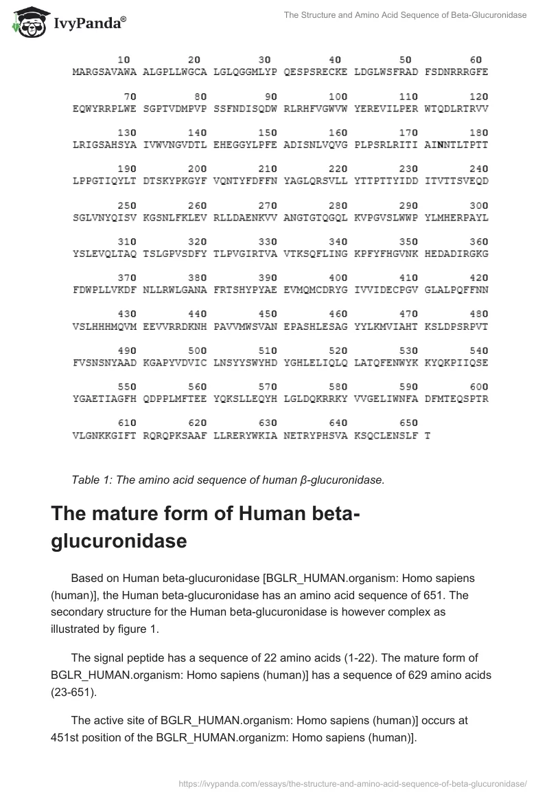 The Structure and Amino Acid Sequence of Beta-Glucuronidase. Page 5