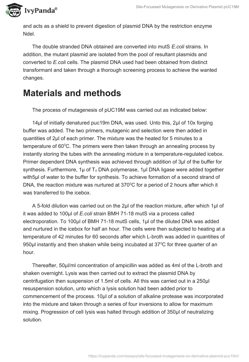 Site-Focussed Mutagenesis on Derivative Plasmid pUC19M. Page 2