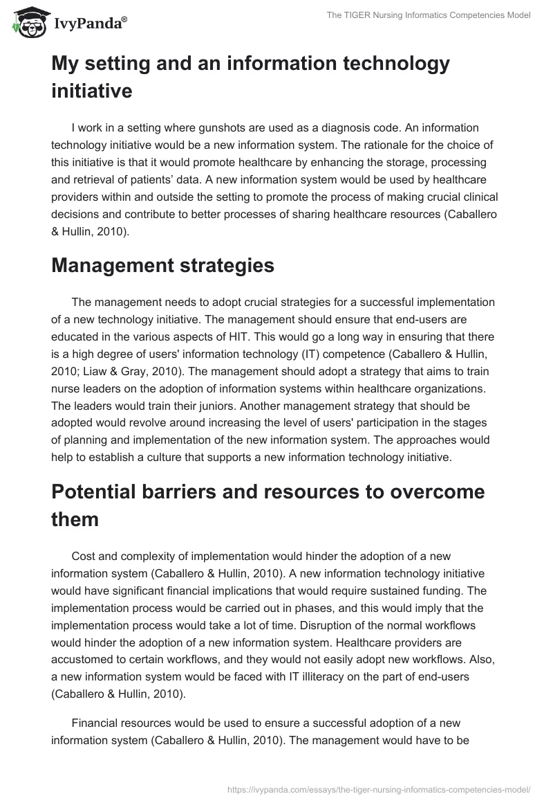 The TIGER Nursing Informatics Competencies Model. Page 2