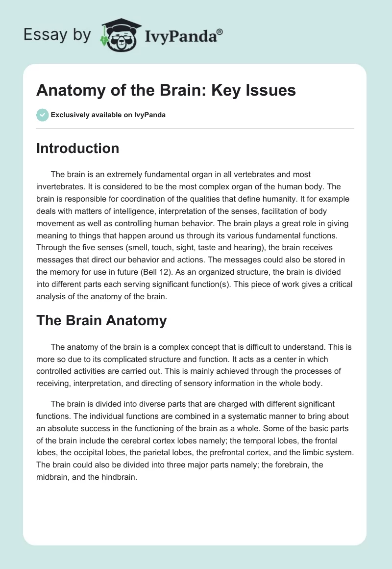 Anatomy of the Brain: Key Issues. Page 1