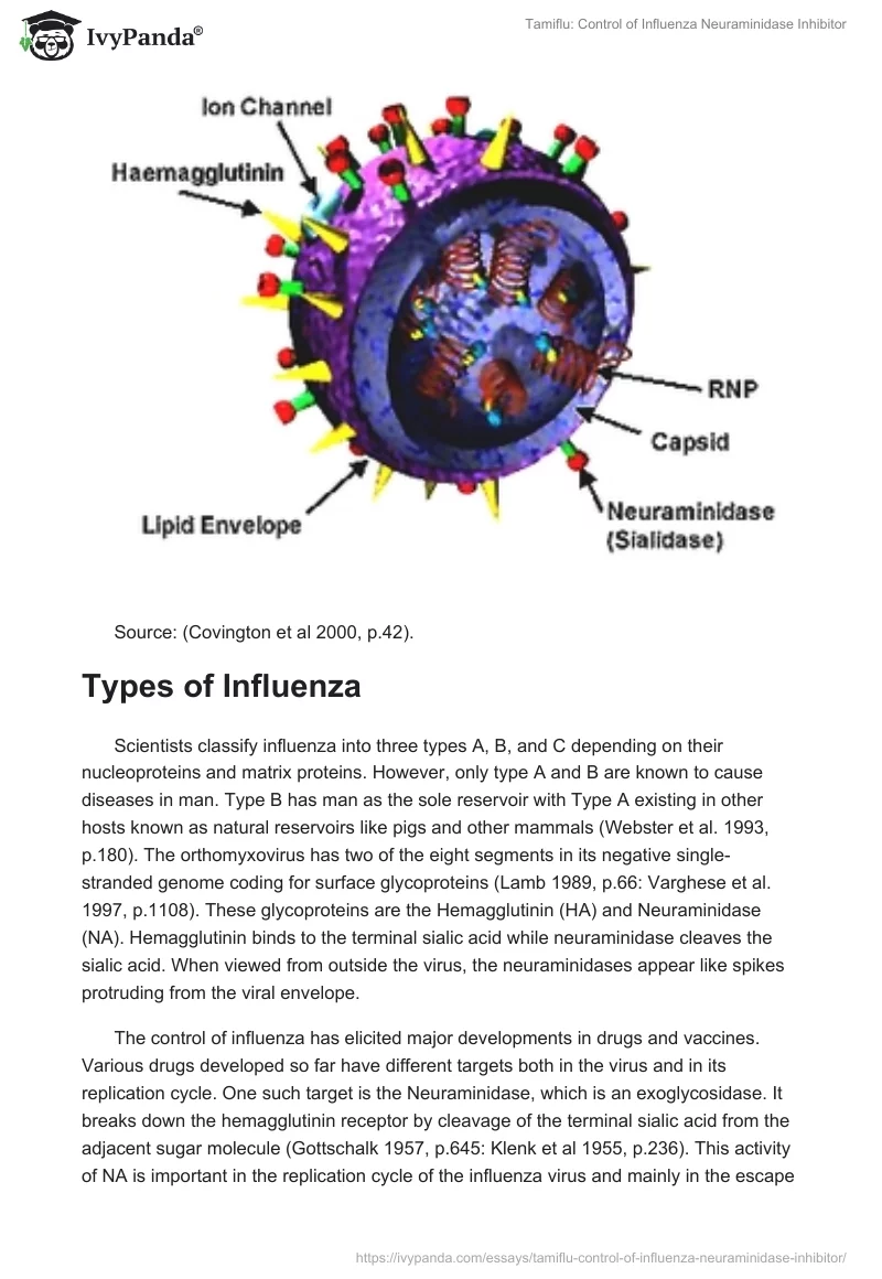 Tamiflu: Control of Influenza Neuraminidase Inhibitor. Page 2