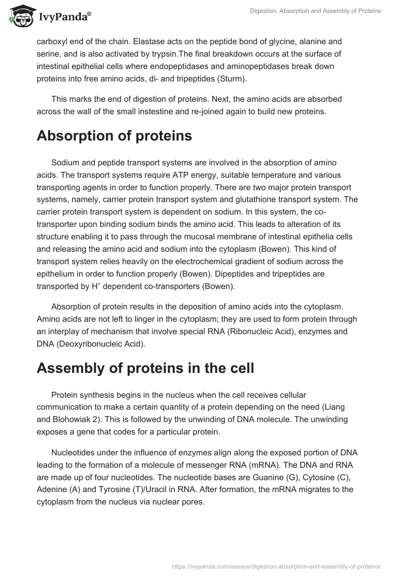 Digestion, Absorption and Assembly of Proteins. Page 4
