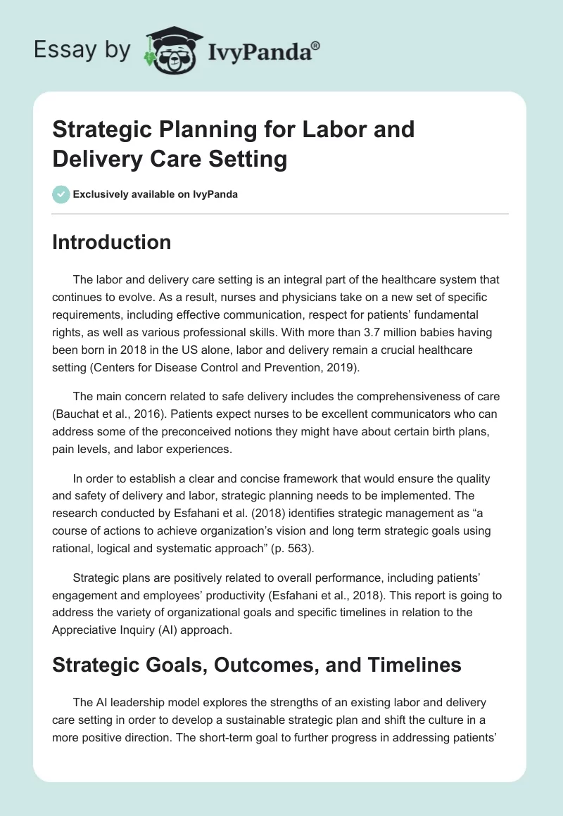 Strategic Planning for Labor and Delivery Care Setting. Page 1