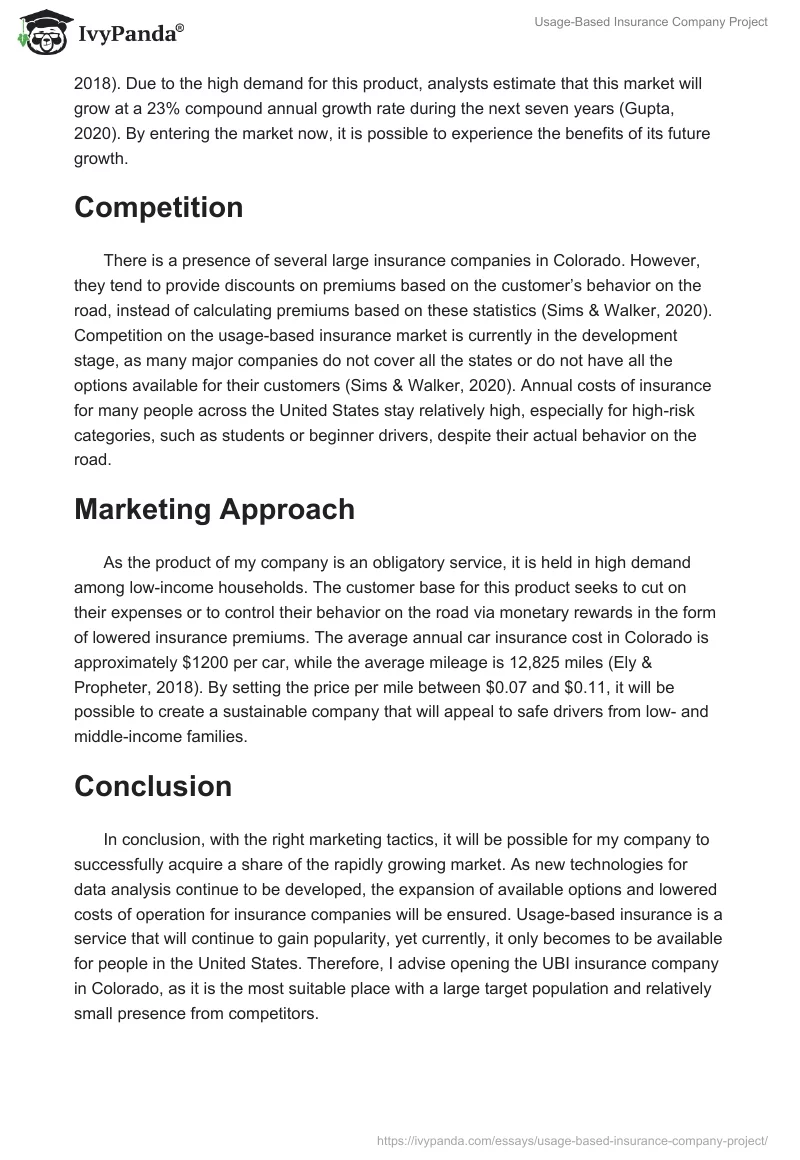 Usage-Based Insurance Company Project. Page 2
