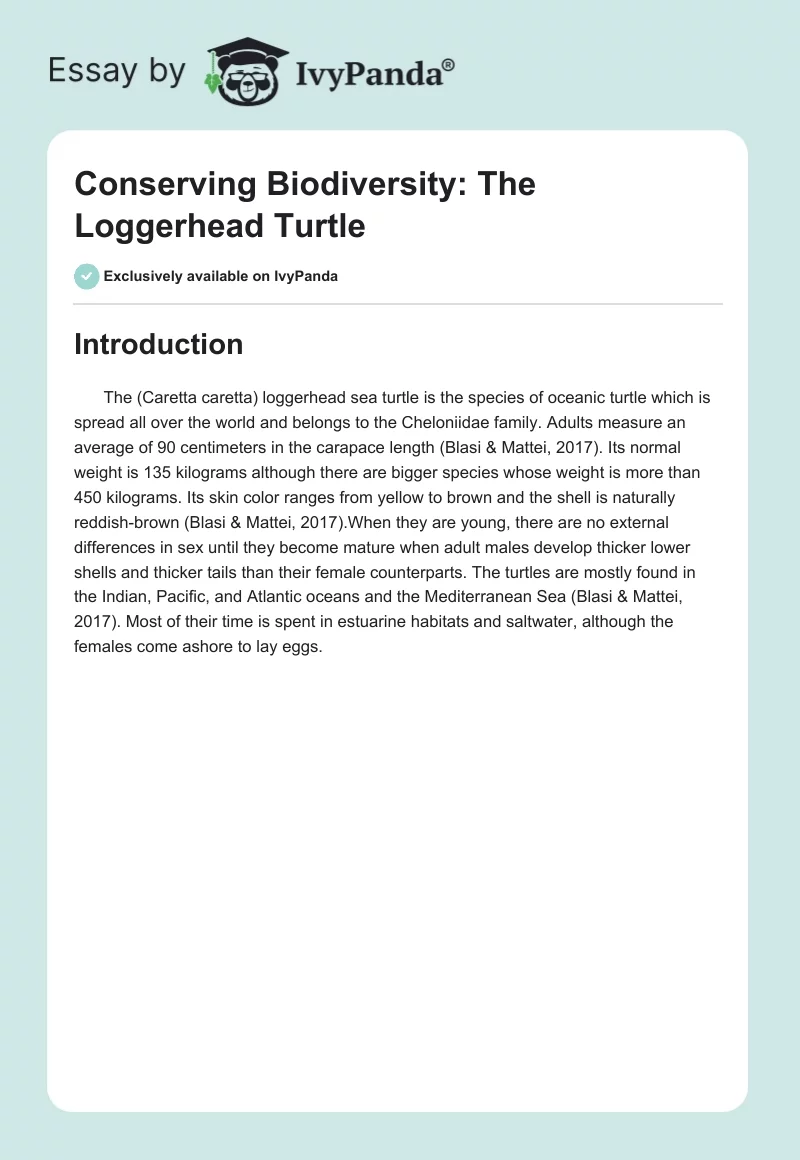 Conserving Biodiversity: The Loggerhead Turtle. Page 1