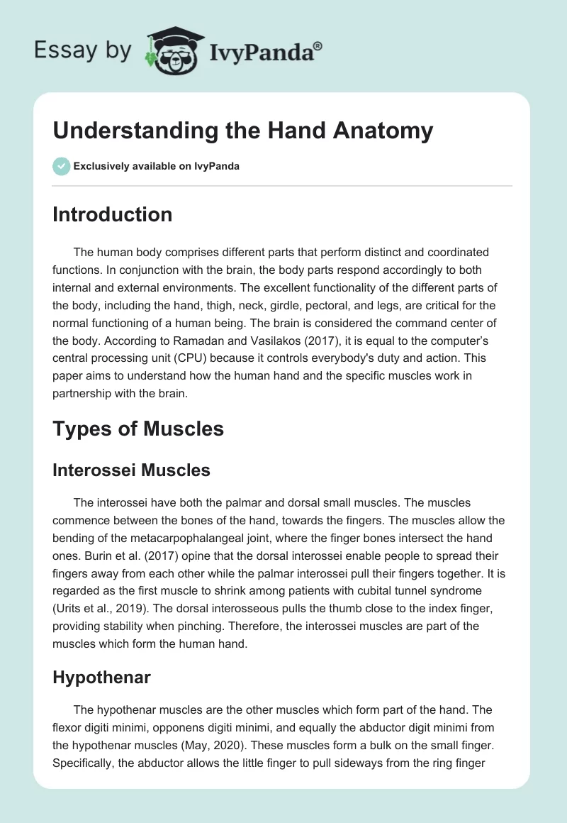 Understanding the Hand Anatomy. Page 1