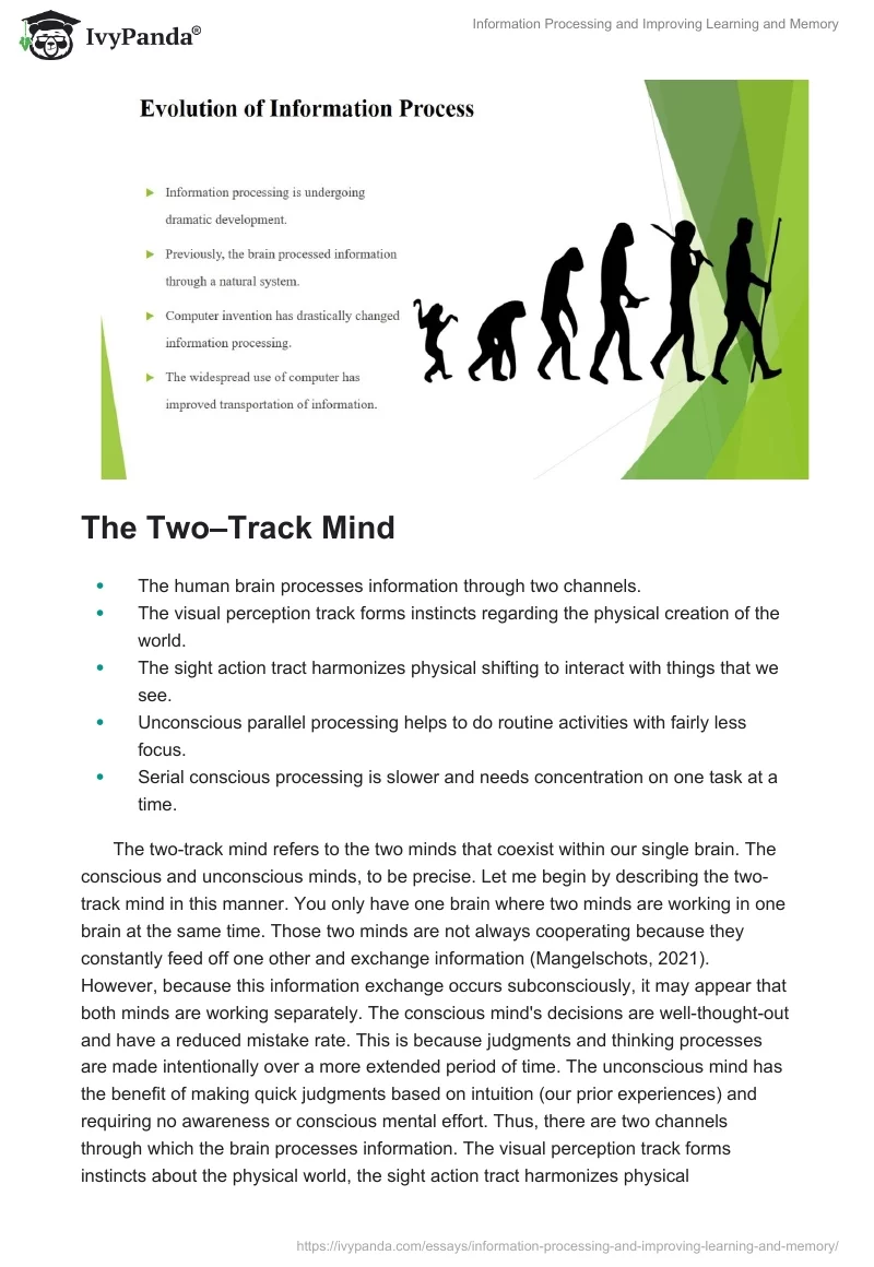 Information Processing and Improving Learning and Memory. Page 3