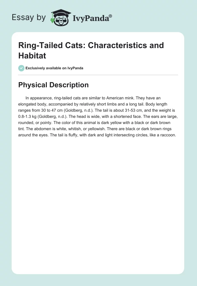 Ring-Tailed Cats: Characteristics and Habitat. Page 1