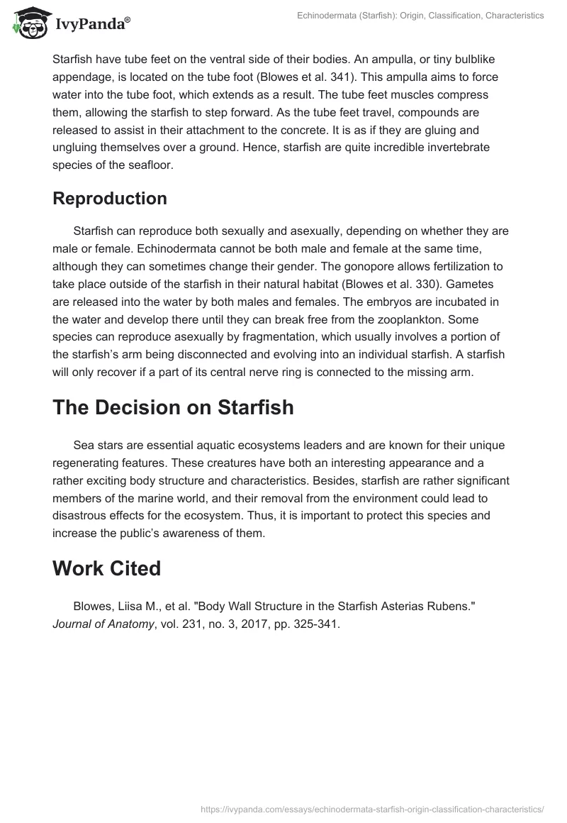 Echinodermata (Starfish): Origin, Classification, Characteristics. Page 3