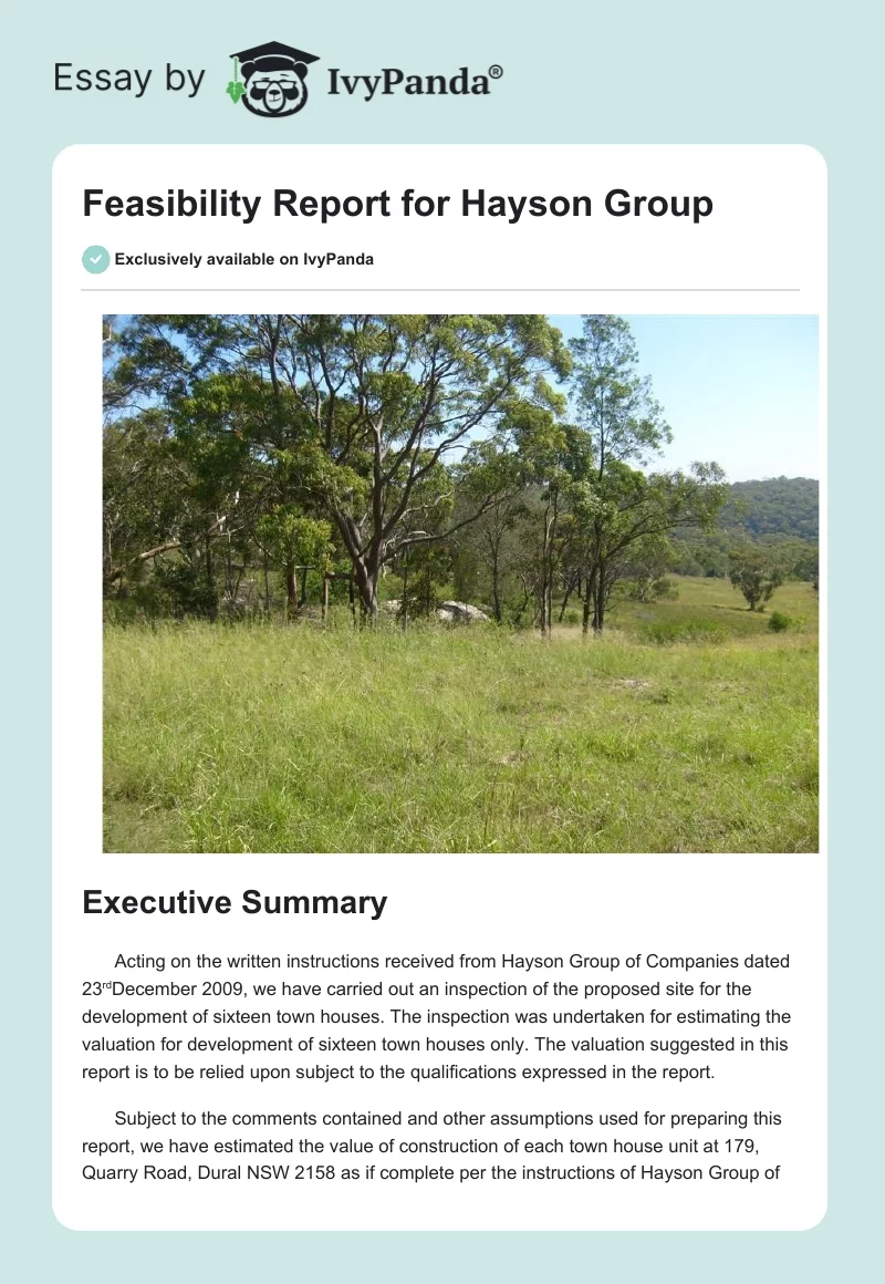 Feasibility Report for Hayson Group. Page 1