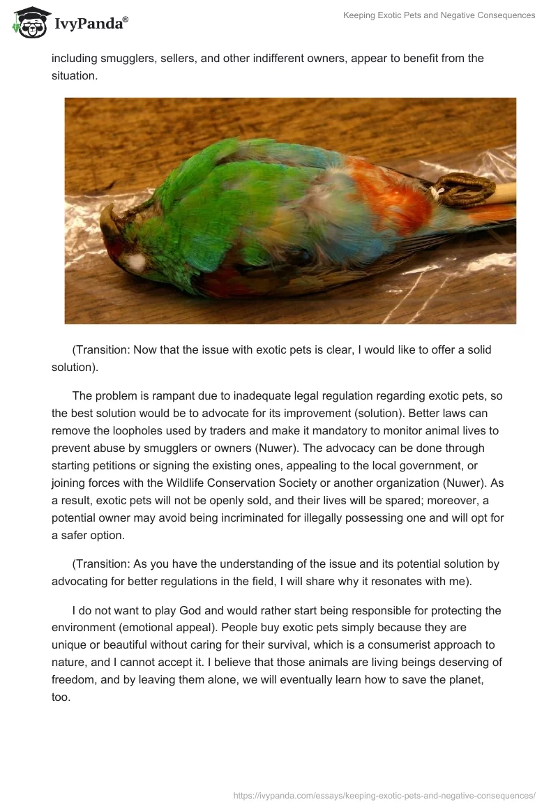 Keeping Exotic Pets and Negative Consequences. Page 2