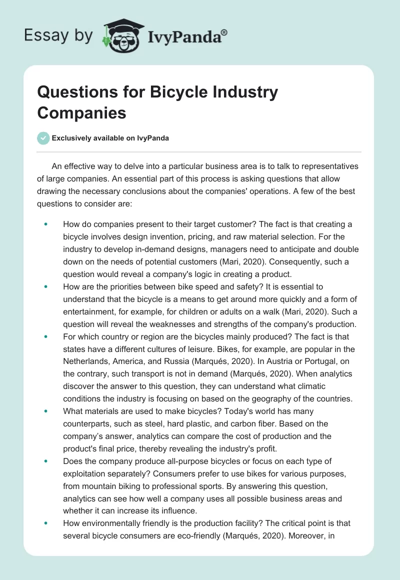 Questions for Bicycle Industry Companies - 393 Words | Essay Example