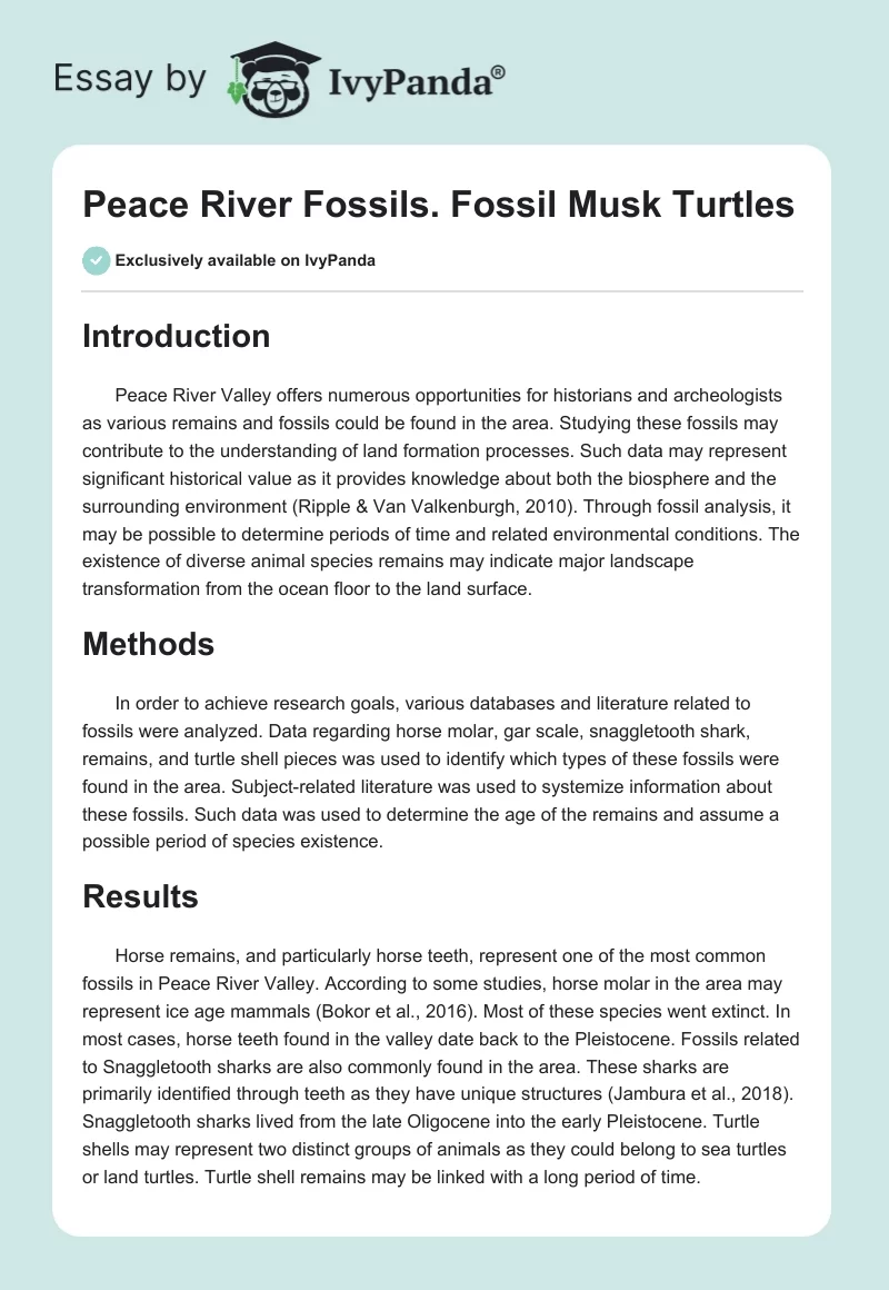 Peace River Fossils. Fossil Musk Turtles. Page 1