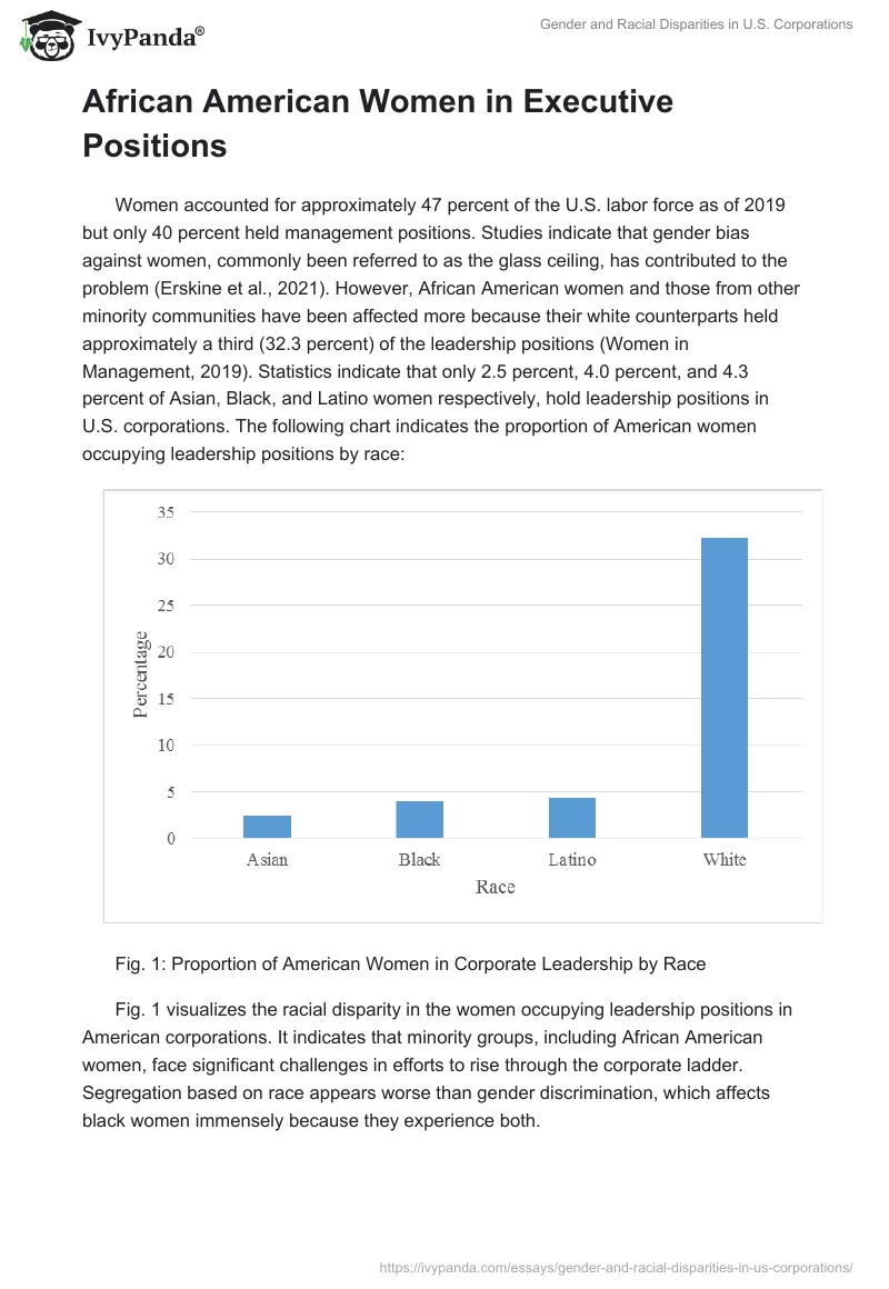 Gender and Racial Disparities in U.S. Corporations. Page 3