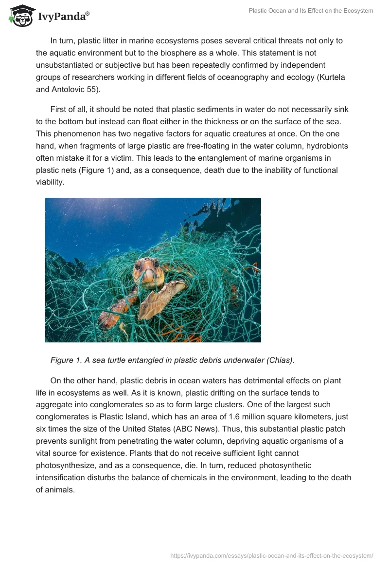 Plastic Ocean and Its Effect on the Ecosystem. Page 2