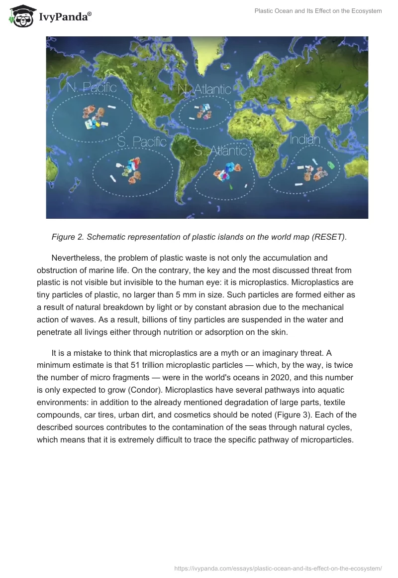 Plastic Ocean and Its Effect on the Ecosystem. Page 3
