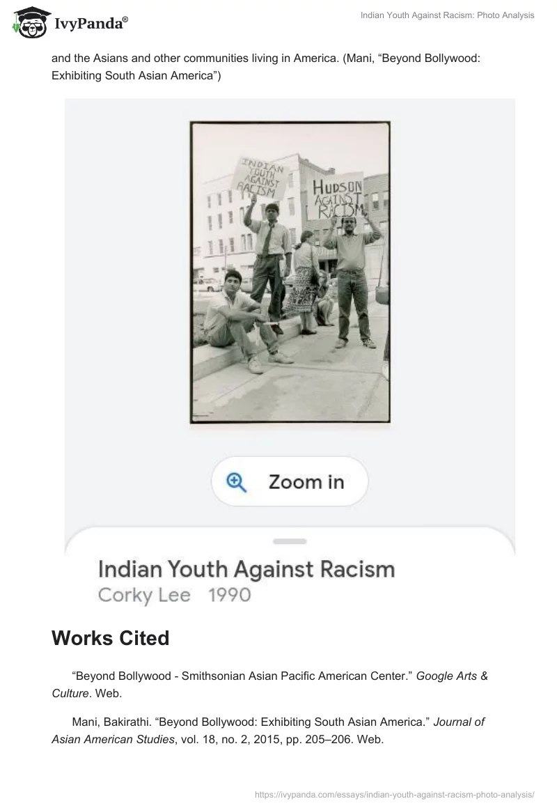 Indian Youth Against Racism: Photo Analysis. Page 2