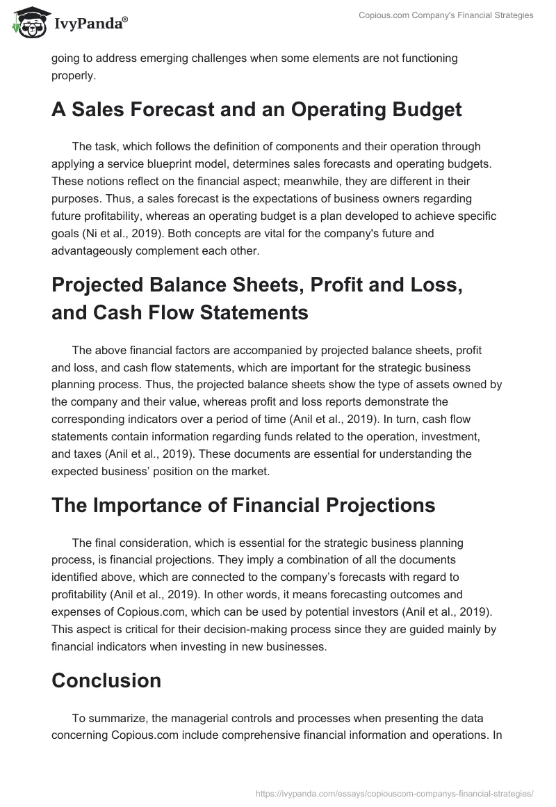 Copious.com Company's Financial Strategies. Page 2