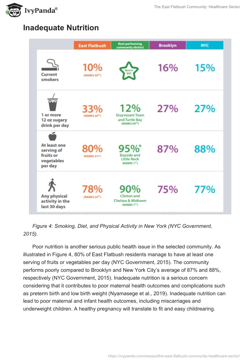 The East Flatbush Community: Healthcare Sector. Page 5