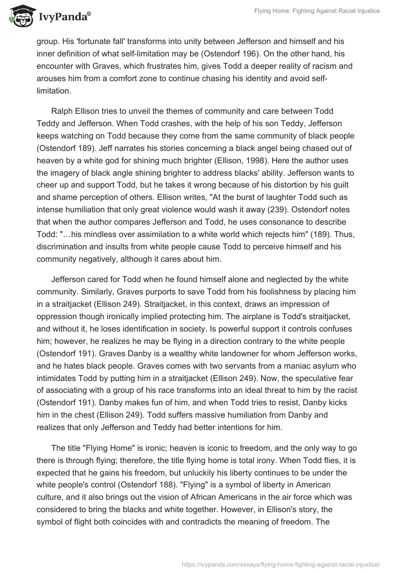 "Flying Home": Fighting Against Racial Injustice. Page 2