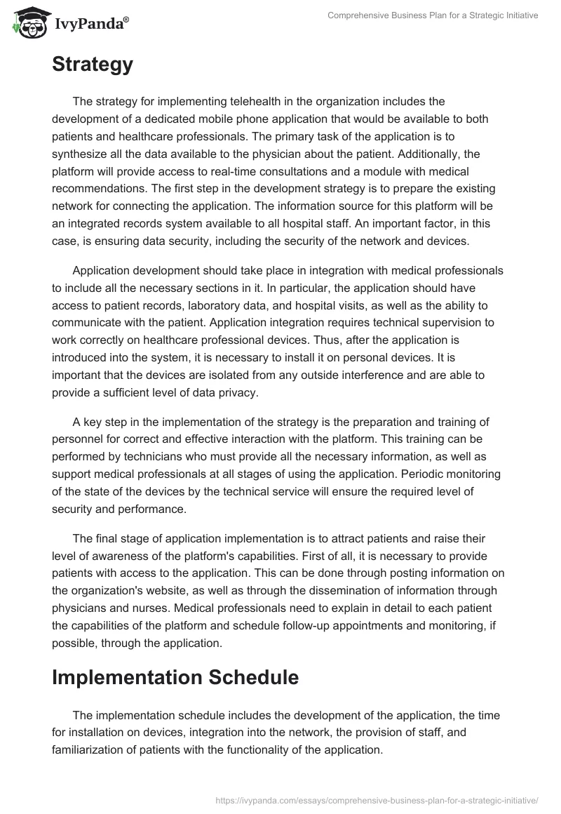 Comprehensive Business Plan for a Strategic Initiative. Page 4