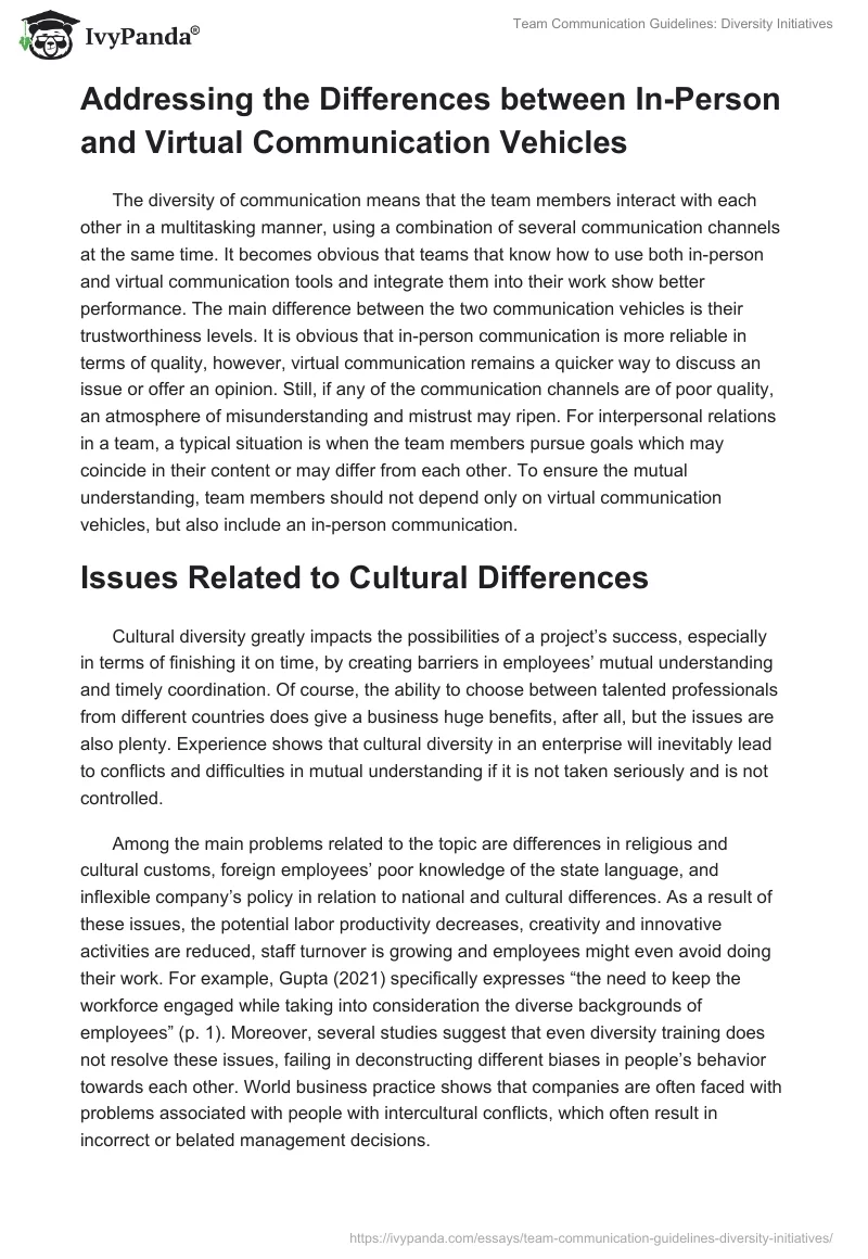 Team Communication Guidelines: Diversity Initiatives. Page 2