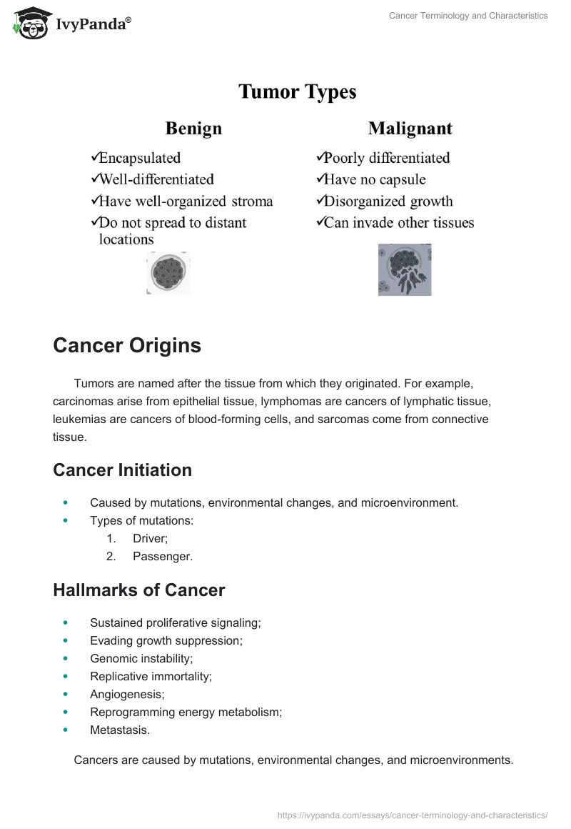 Cancer Terminology and Characteristics. Page 3