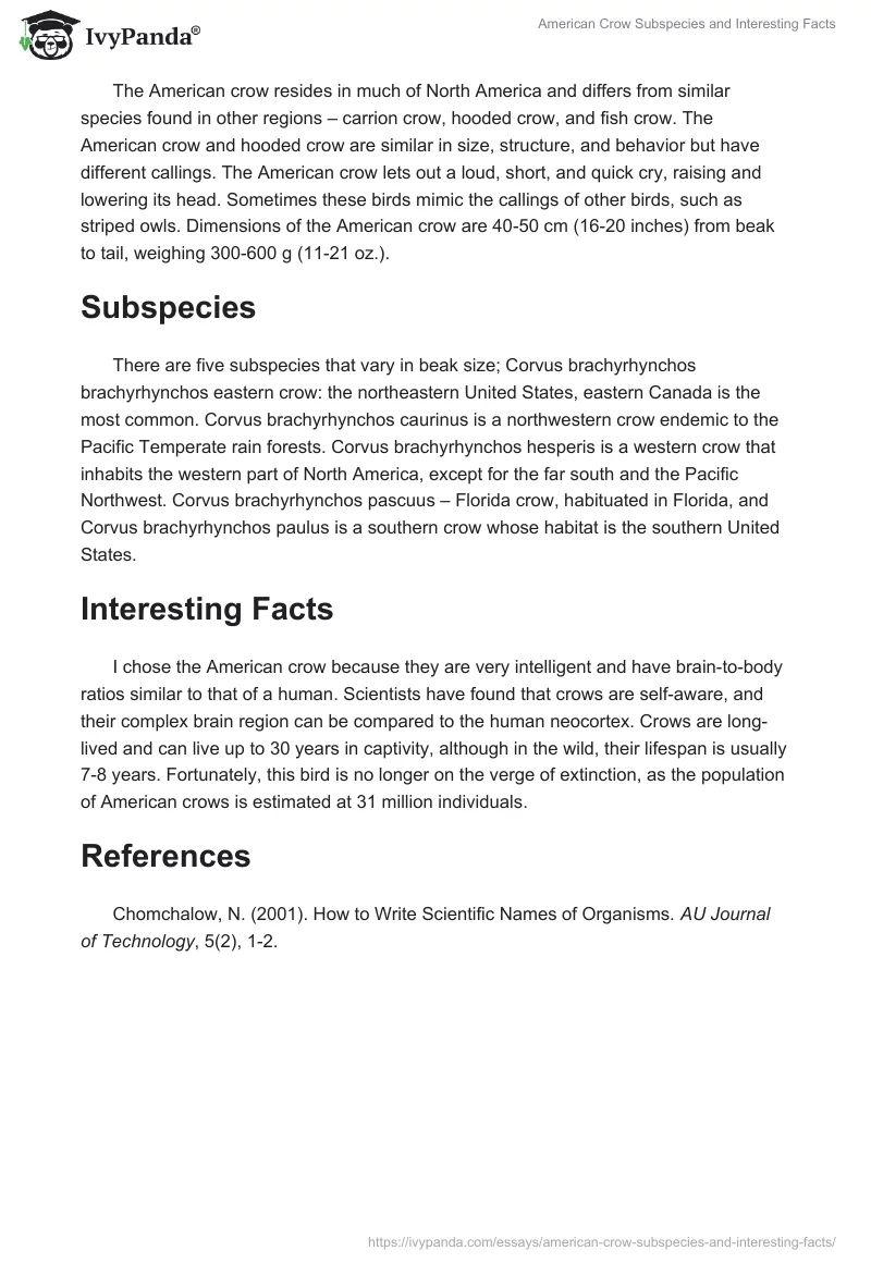 American Crow Subspecies and Interesting Facts. Page 2