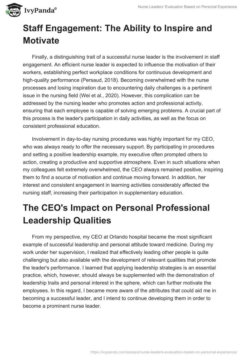 Nurse Leaders' Evaluation Based on Personal Experience. Page 4