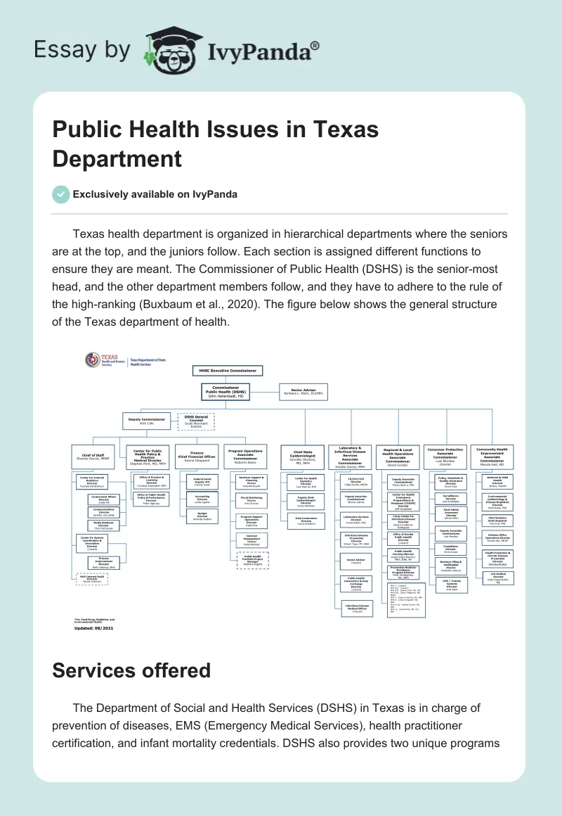 Public Health Issues in Texas Department. Page 1