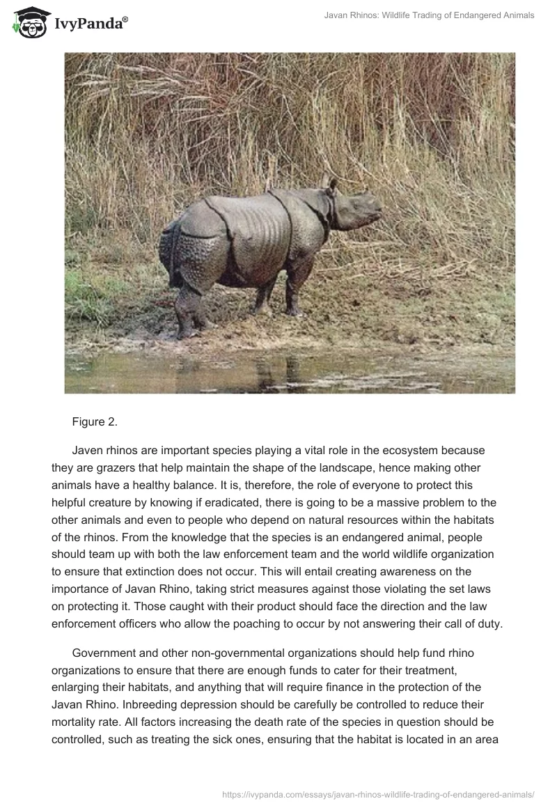 Javan Rhinos: Wildlife Trading of Endangered Animals. Page 4