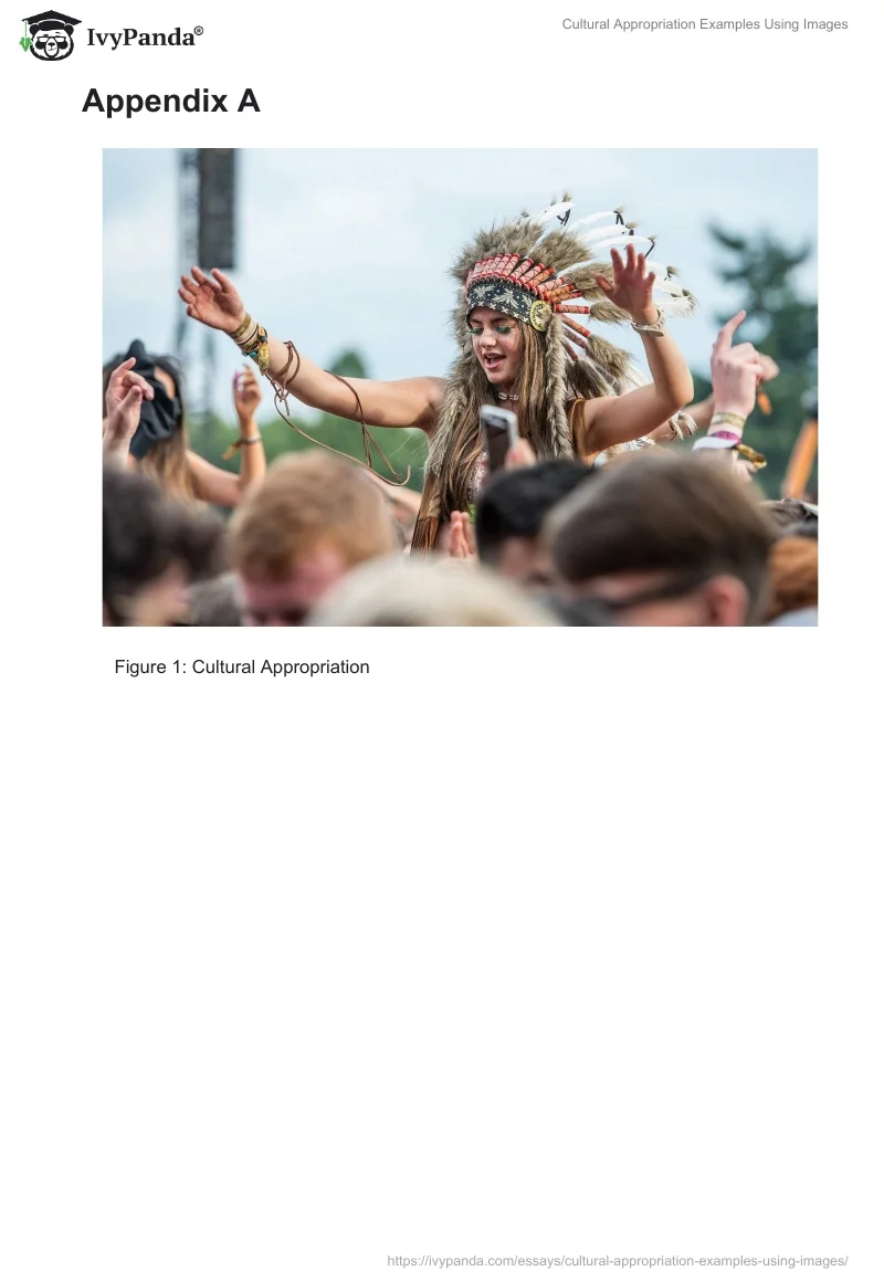 Cultural Appropriation Examples Using Images. Page 2