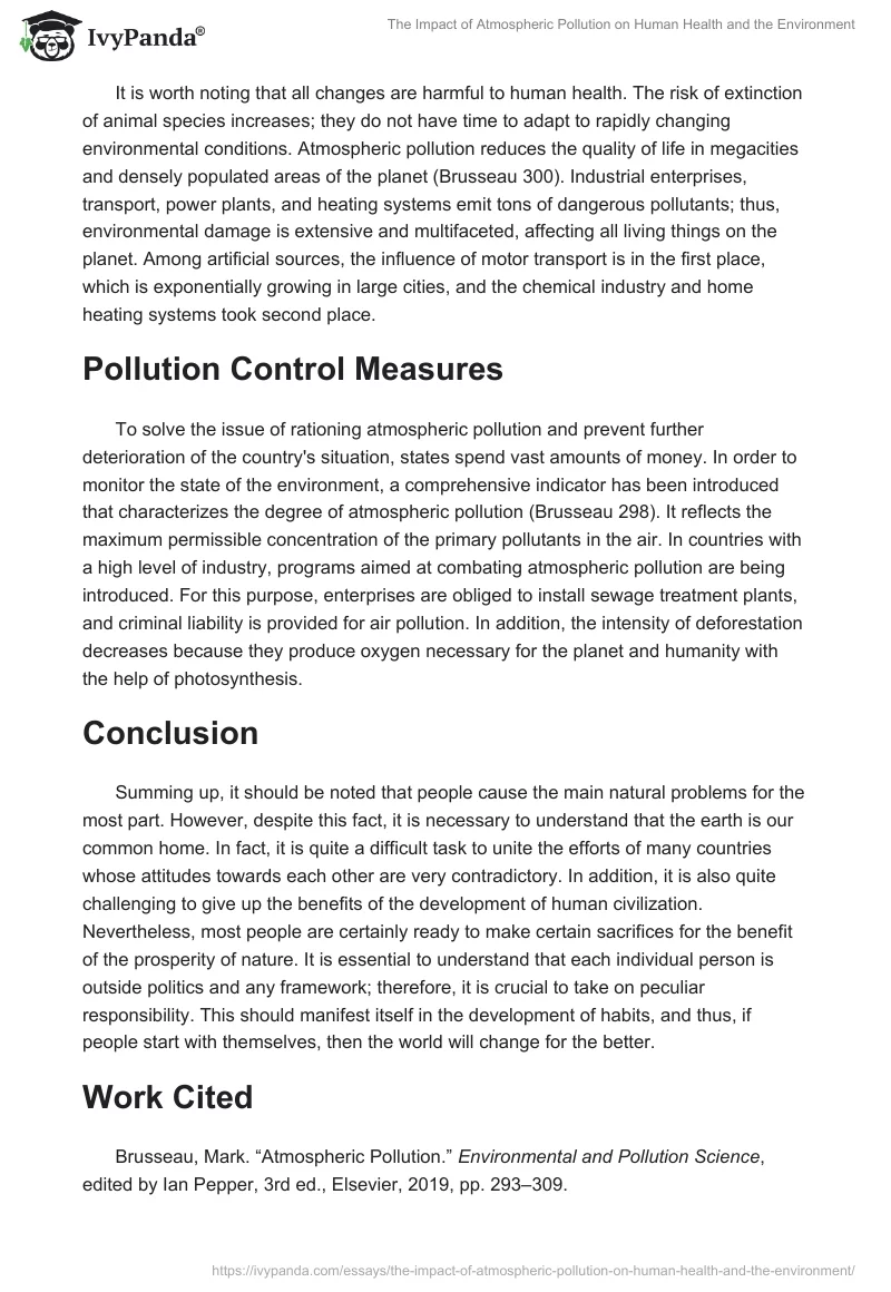 effects of pollution on human health essay