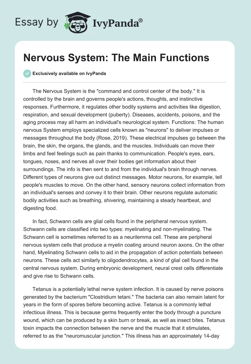 Nervous System: The Main Functions. Page 1
