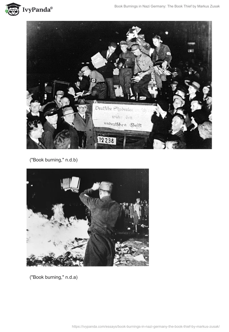 Book Burnings in Nazi Germany: "The Book Thief" by Markus Zusak. Page 3
