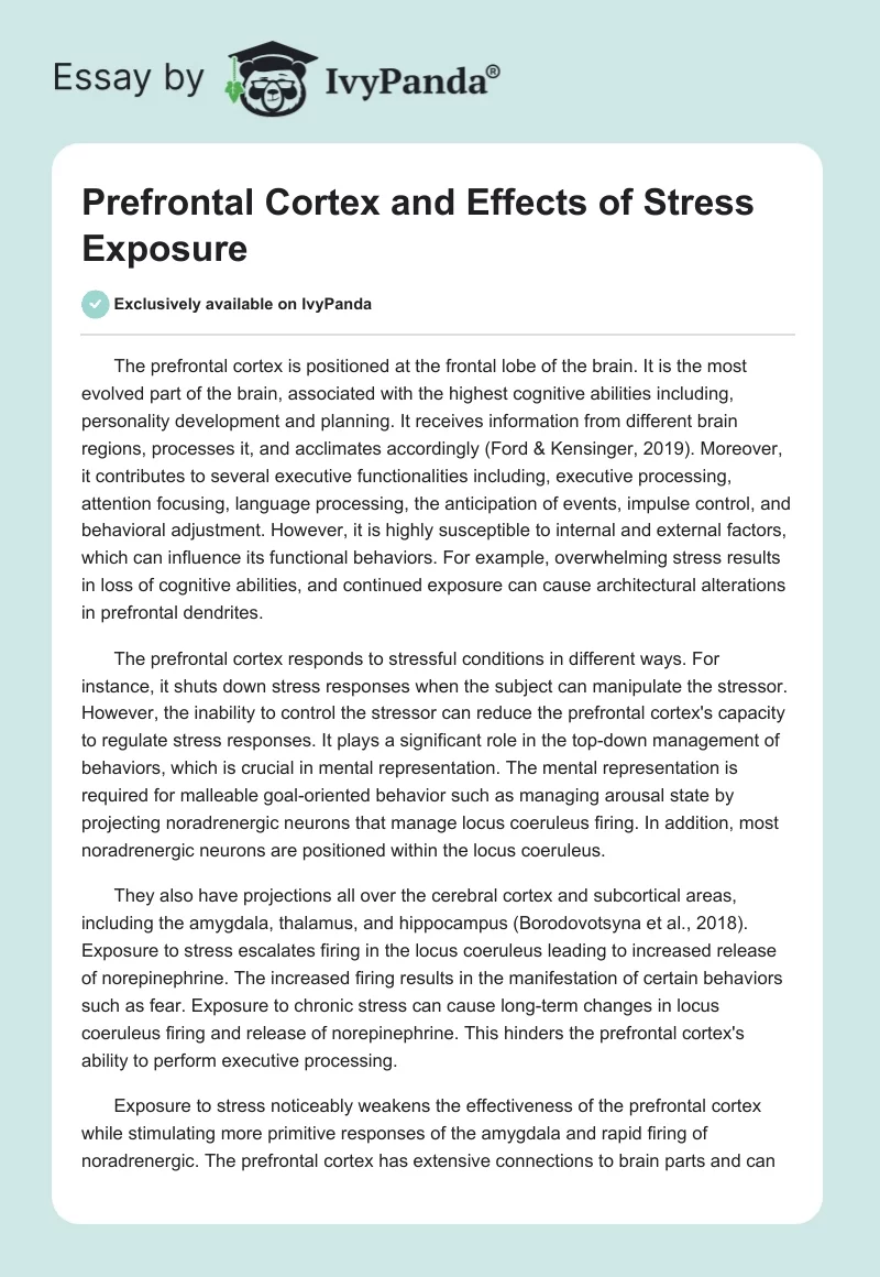 Prefrontal Cortex and Effects of Stress Exposure. Page 1